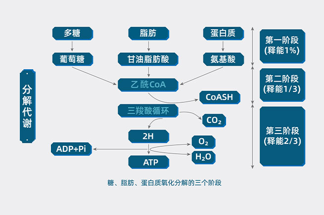 &#24320;&#20113;&#25163;&#26426;&#31449;&#20837;&#21475;&#45;&#24320;&#20113;&#40;&#20013;&#22269;&#41;