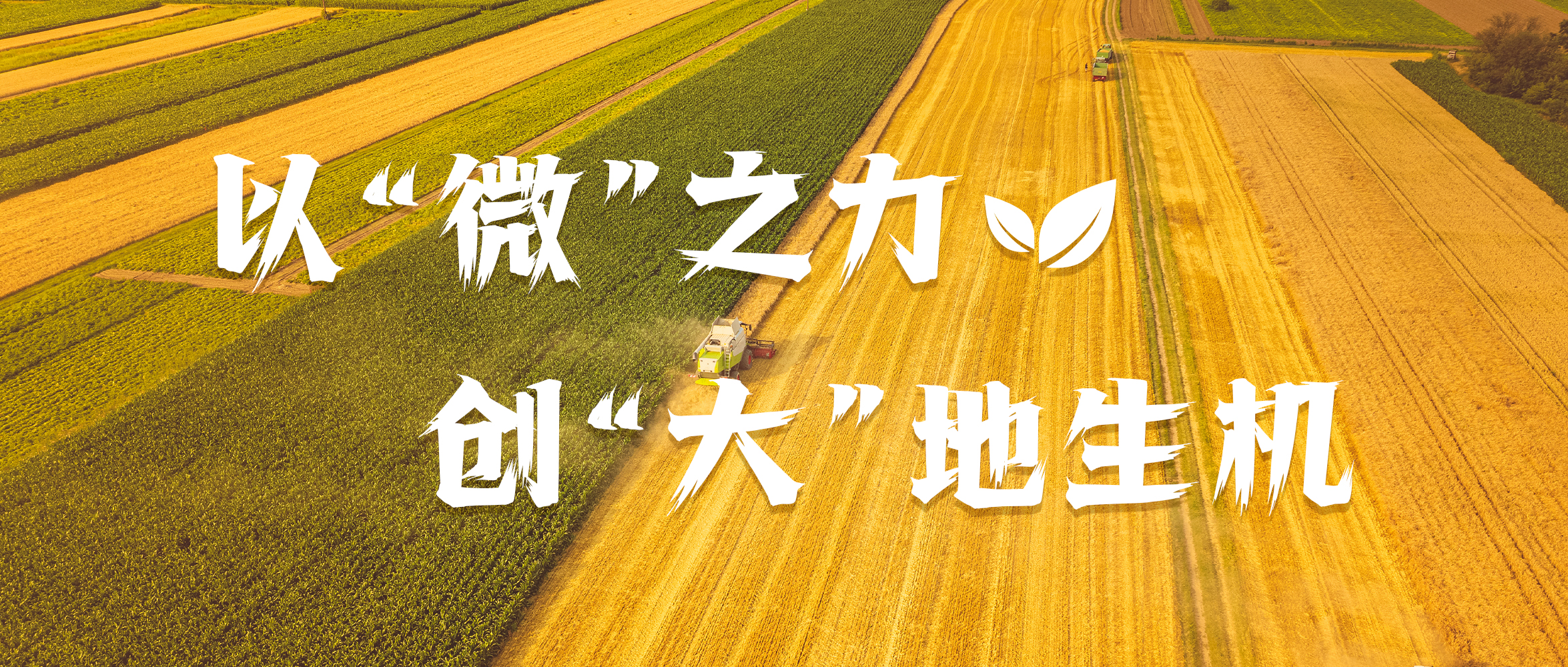 &#24320;&#20113;&#25163;&#26426;&#31449;&#20837;&#21475;&#45;&#24320;&#20113;&#40;&#20013;&#22269;&#41;
